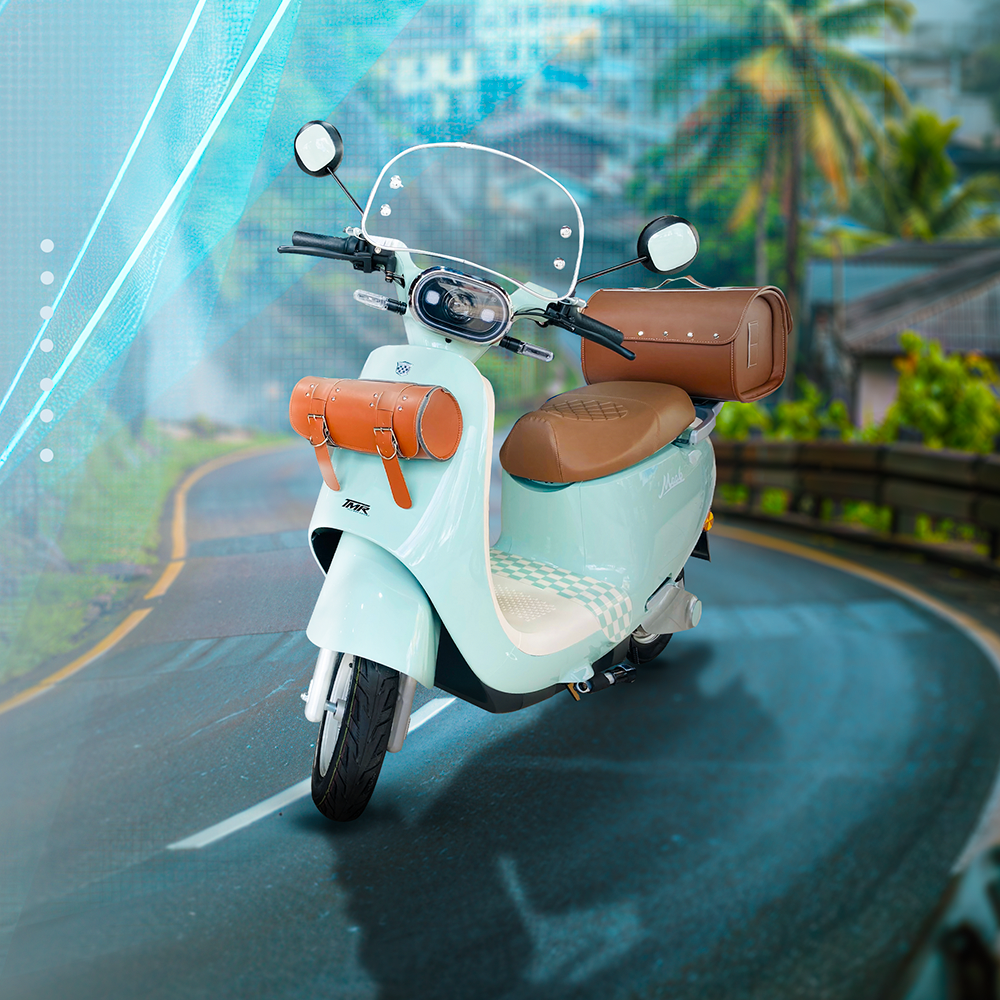 MQQ6 Plus electric bike
